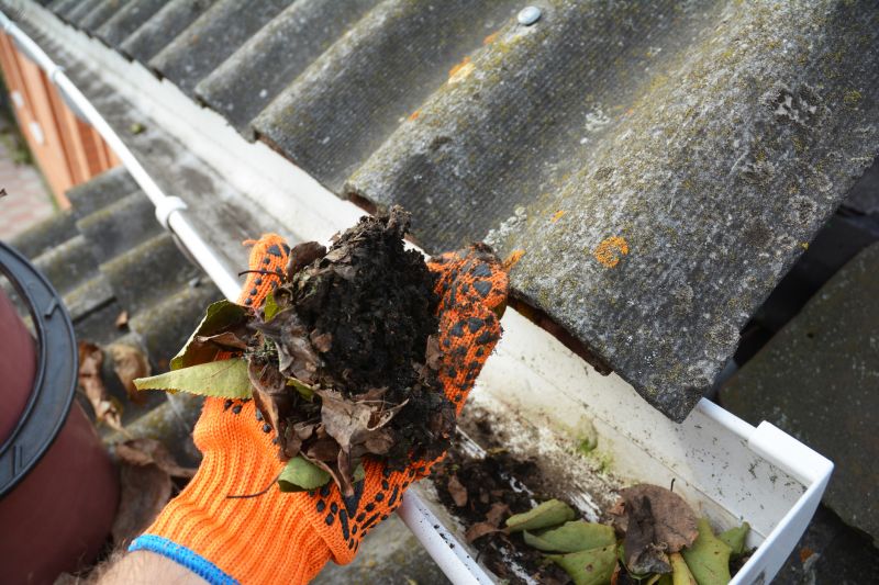 Clean Residential Gutters