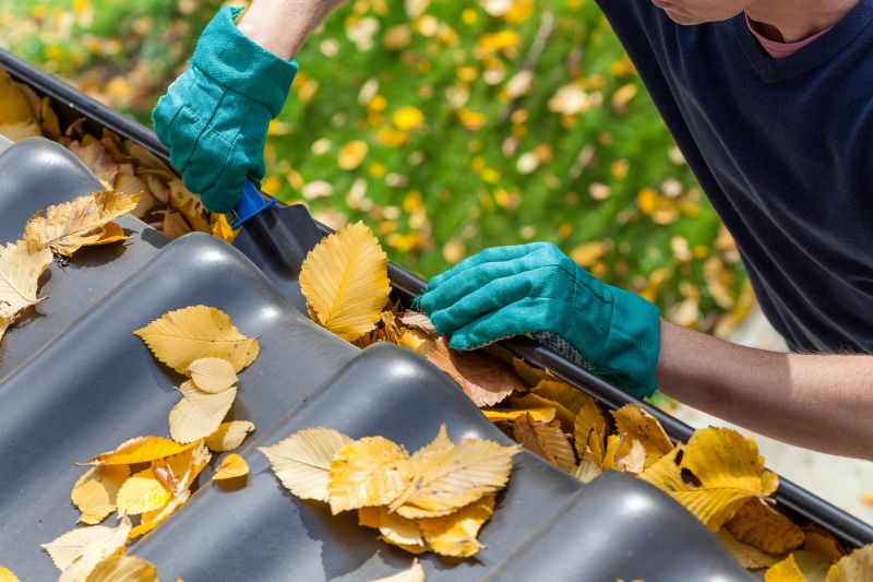 Gutter Maintenance During Fall